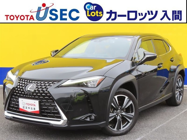 UX250h バージョンL