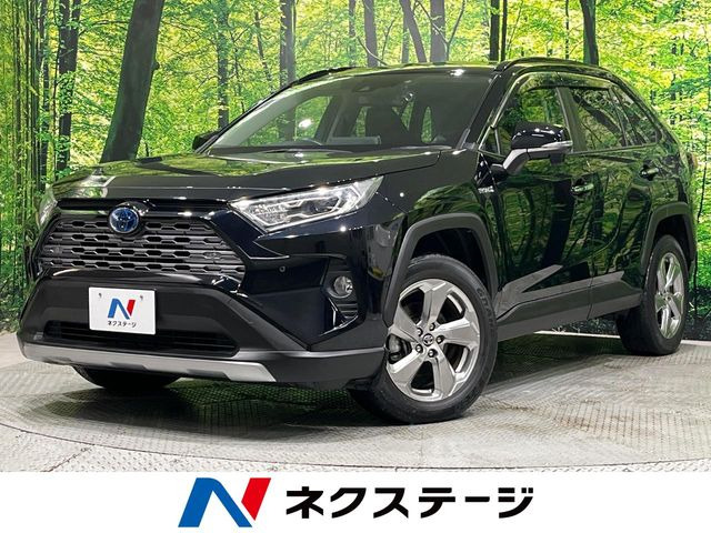 RAV42.5 ハイブリッド G E-Four 4WD