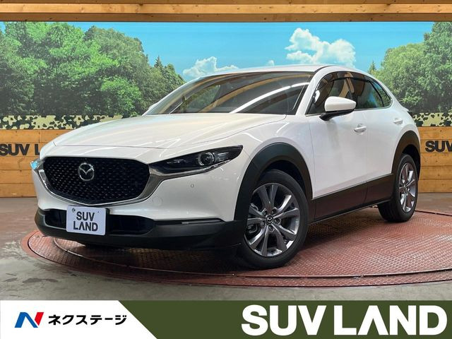 CX-301.8 XD Lパッケージ