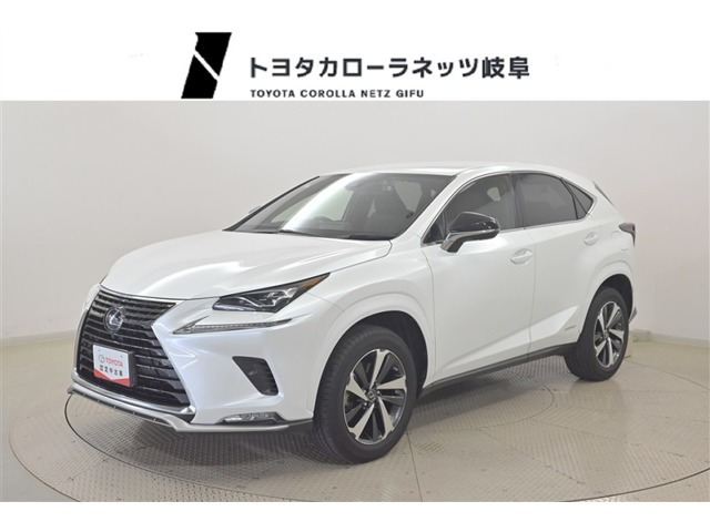 NX300h