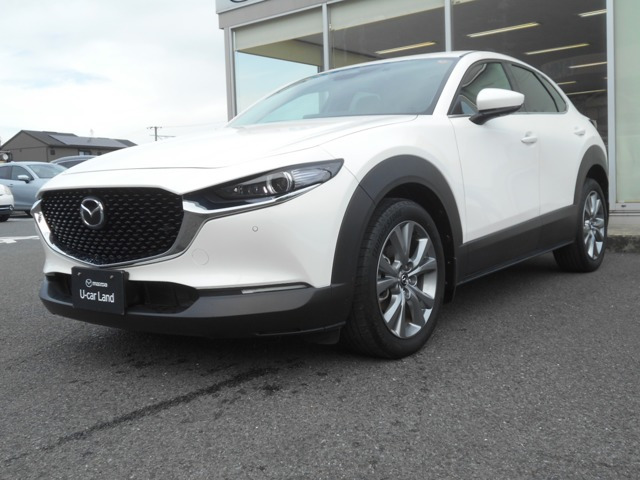 CX-302.0 20S プロアクティブ ツーリングセレクション
