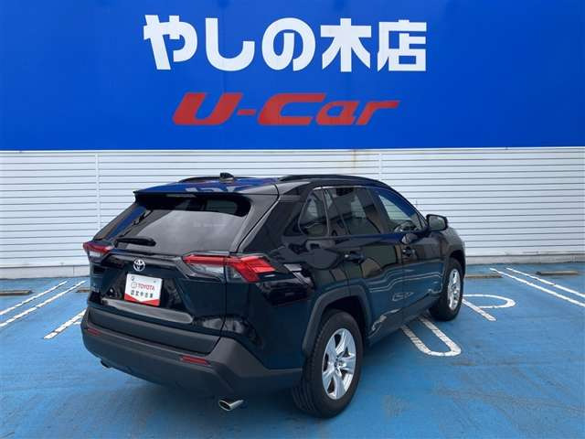 RAV42.0 X