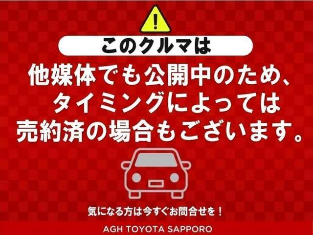 キャストアクティバ G SAII
