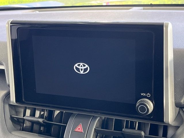 RAV42.0 X