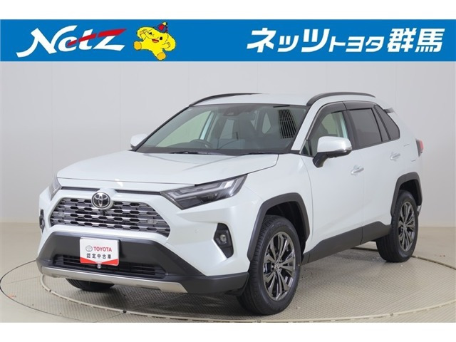 RAV42.5 ハイブリッド G E-Four 4WD