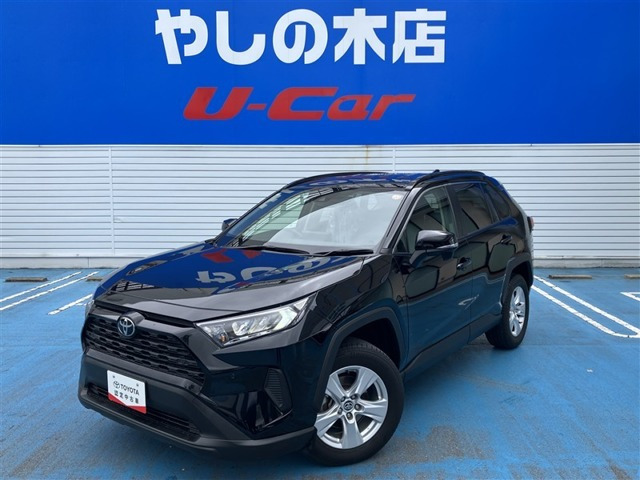 RAV42.0 X