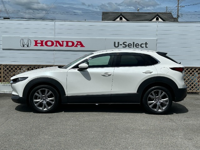 CX-302.0 20S プロアクティブ