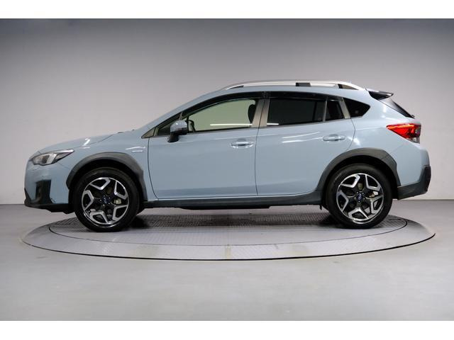 XV