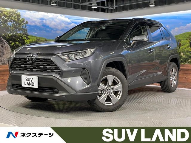 RAV42.0 X