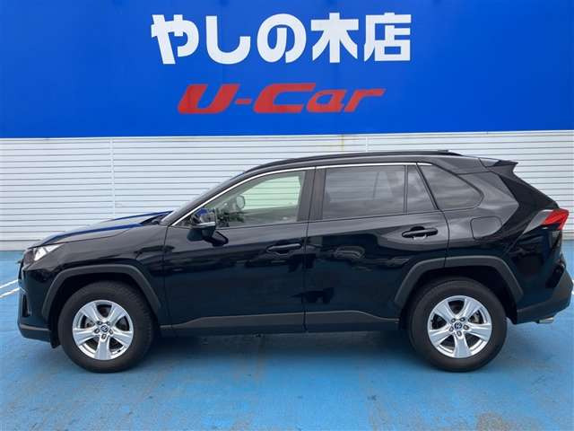 RAV42.0 X