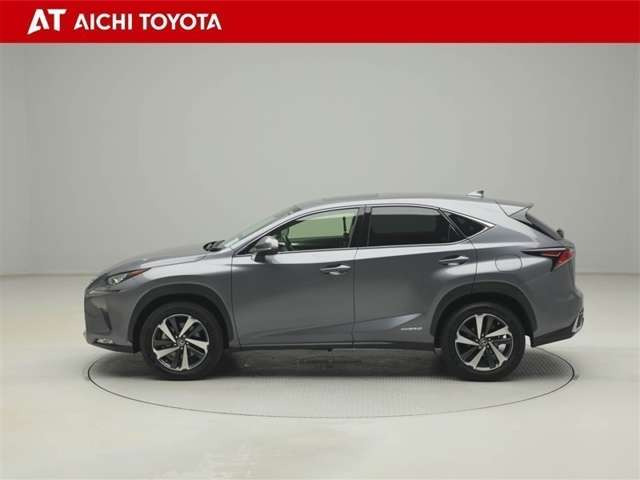 NX300h Iパッケージ 4WD