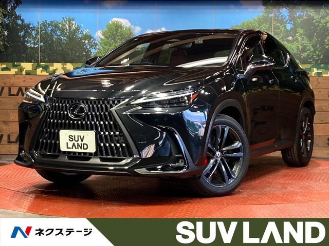 NX250 バージョンL