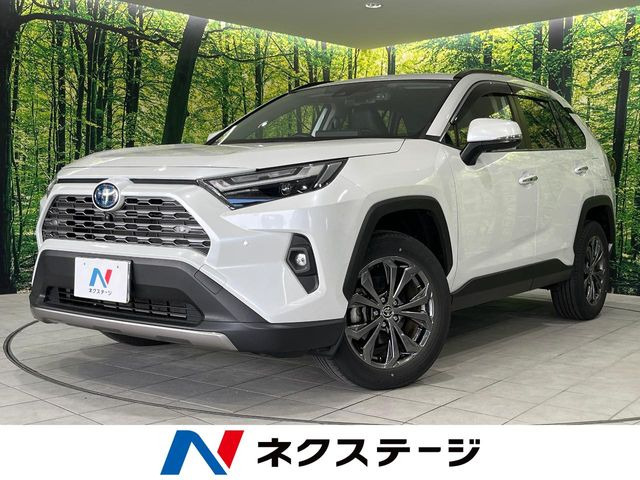 RAV42.5 ハイブリッド G E-Four 4WD