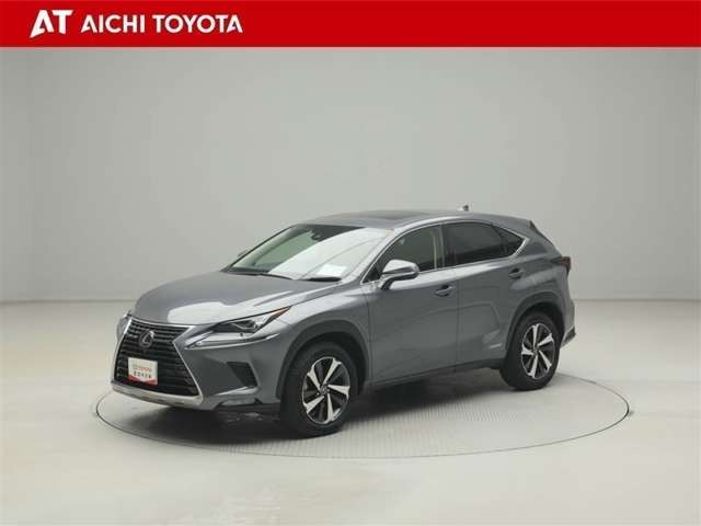 NX300h Iパッケージ 4WD