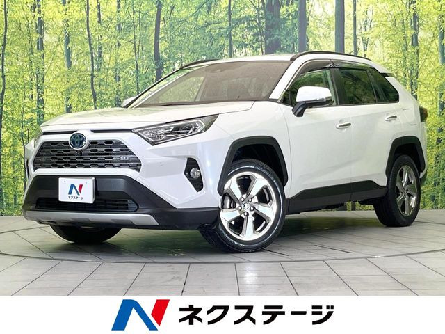 RAV42.5 ハイブリッド G E-Four 4WD