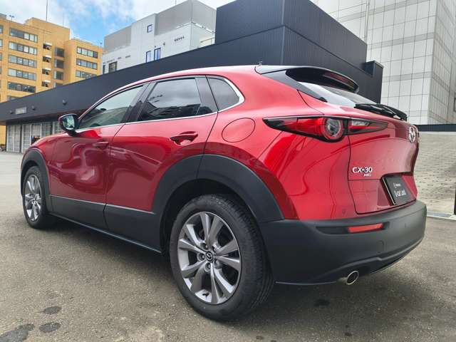 CX-302.0 20S プロアクティブ ツーリングセレクション 4WD