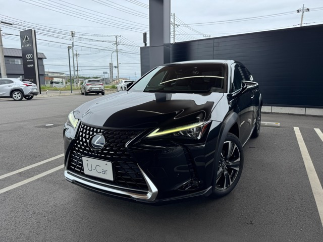 UX250h バージョンC