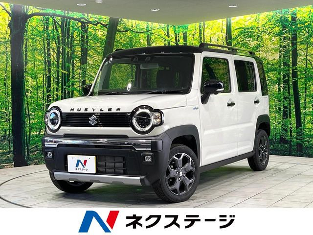 ハスラータフワイルド