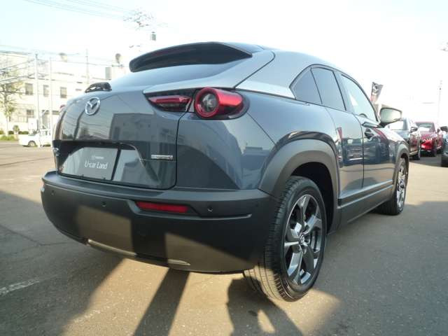 MX-302.0 4WD