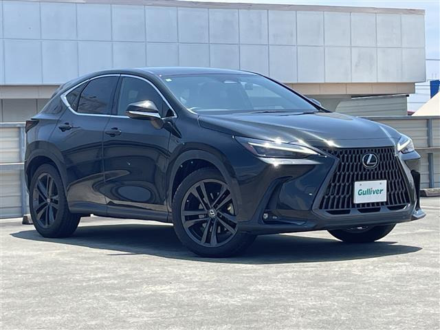 NX250 バージョンL