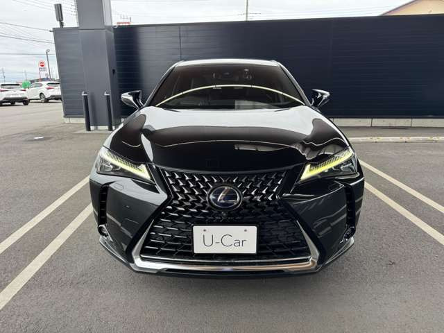 UX250h バージョンC
