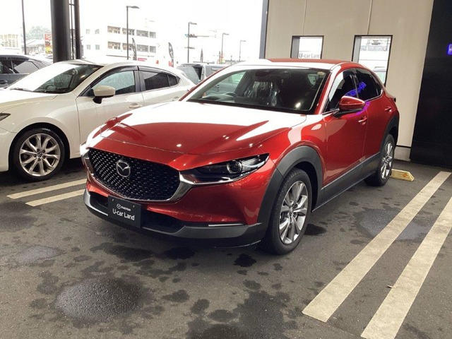 CX-301.8 XD Lパッケージ