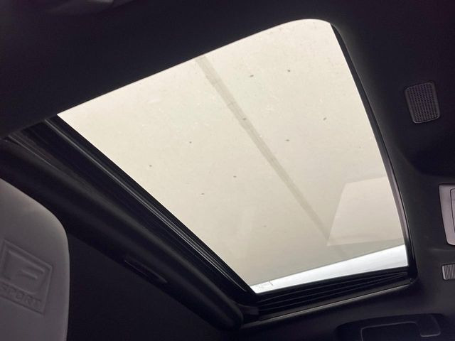 �y���[�����[�t�z�J���������Ղ�̊󏭑����A�T�����[�t����������Ă��܂�!�ԓ��ɖ�����������ꂽ��i�F���y���ވȊO�ɂ��A�ԓ��̋�C���ȒP�Ɋ��C�ł��ĉ��K�ł�!