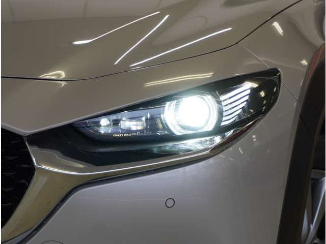 CX-301.8 XD Lパッケージ