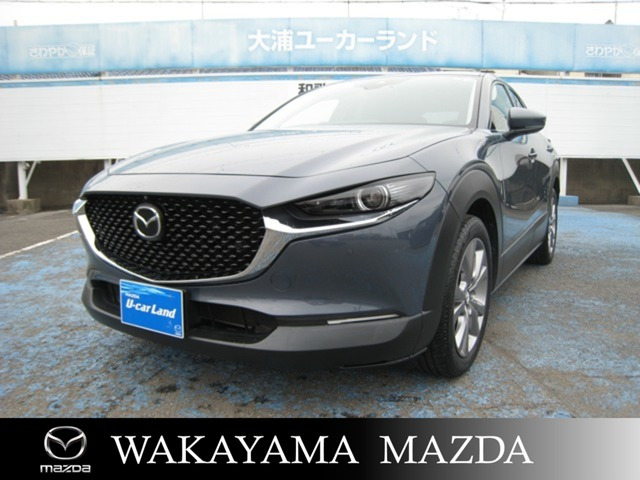 CX-302.0 20S Lパッケージ