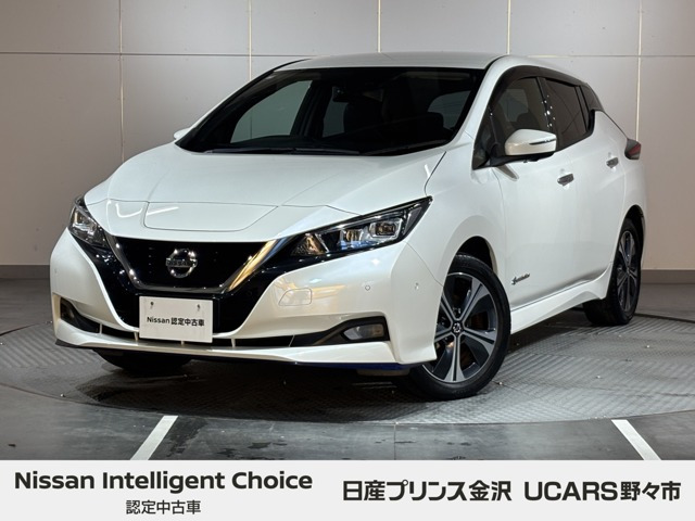 リーフe+ G