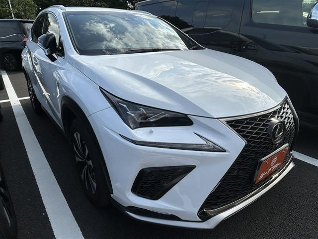 NX300 Fスポーツ