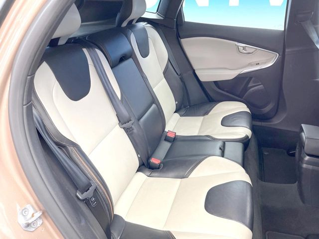 ���㕔���Ȃ��C�ɂȂ�悤�ȃL�Y�E�����ւ��蓙�A�傫�ȃ_���[�W�͂Ȃ��A�ǍD�ȏ�Ԃł��B