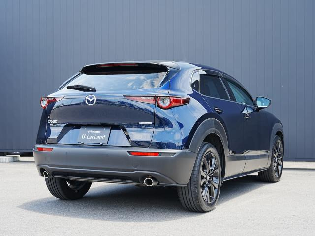 CX-302.0 20S