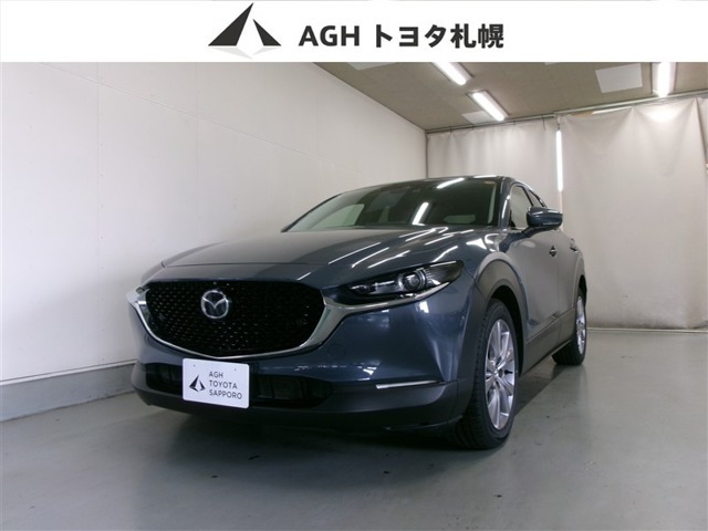 CX-302.0 20S プロアクティブ ツーリングセレクション 4WD