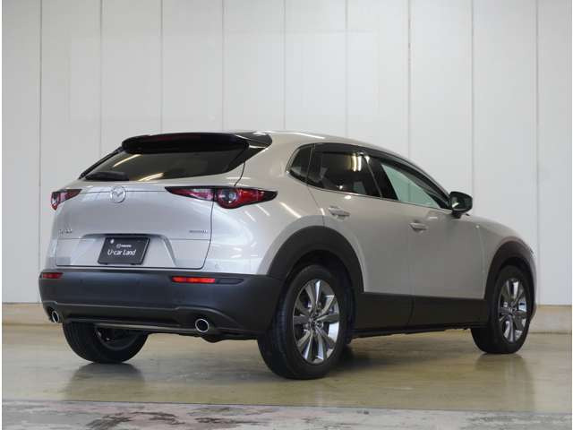 CX-301.8 XD Lパッケージ