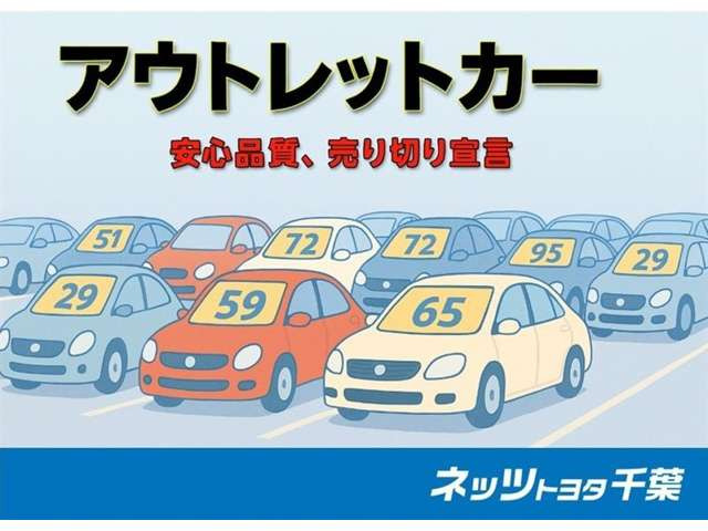 iQ1.0 100G レザーパッケージ