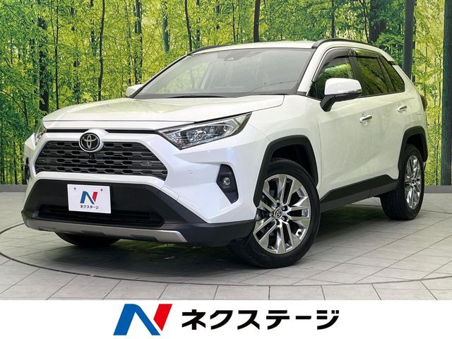 RAV42.0 G Zパッケージ 4WD