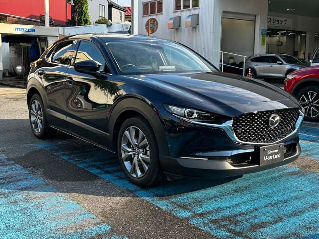 CX-302.0 20S プロアクティブ ツーリングセレクション