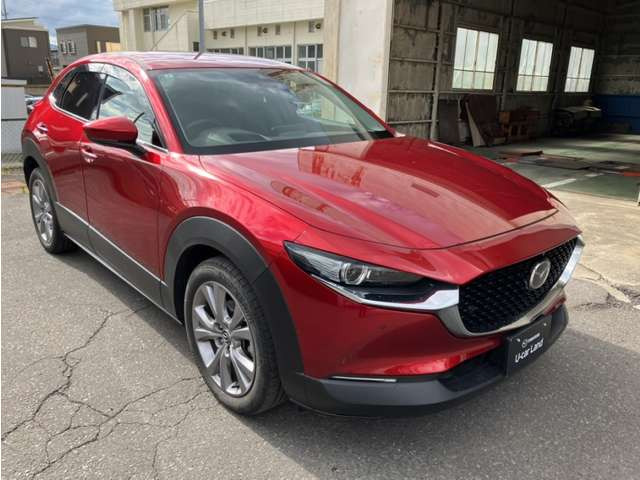 CX-301.8 XD Lパッケージ 4WD