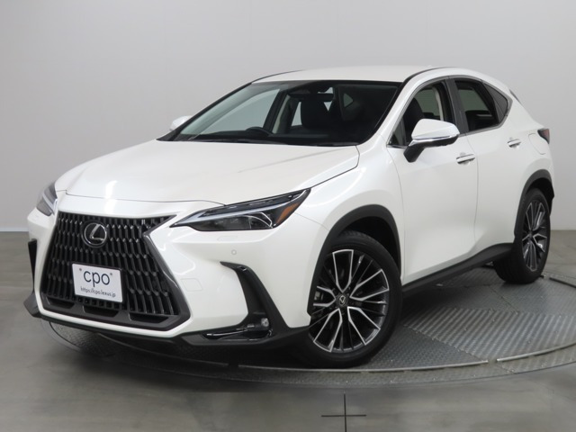 NX350h バージョンL