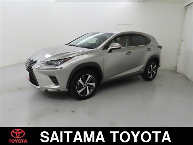 NX300h Iパッケージ