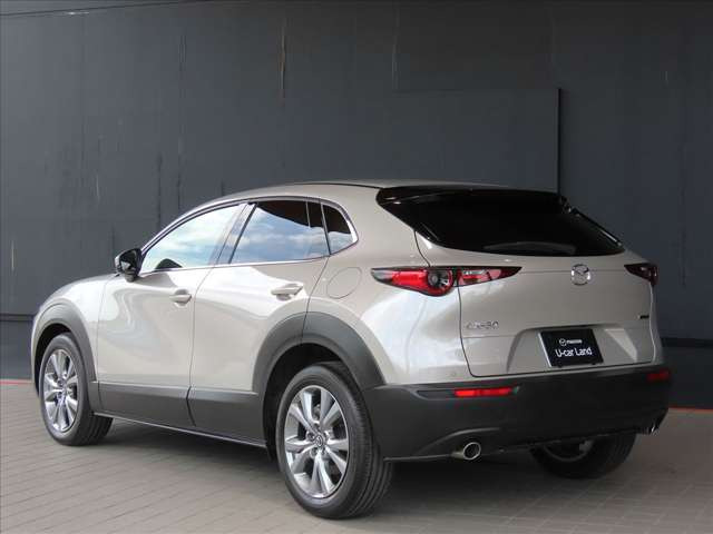 CX-301.8 XD ツーリング