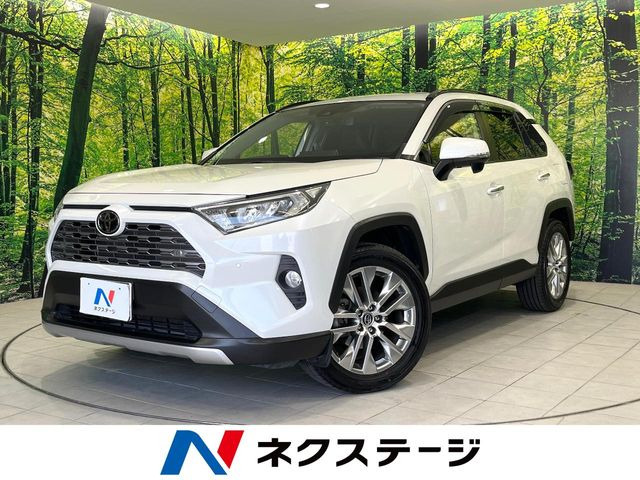 RAV42.0 G Zパッケージ 4WD