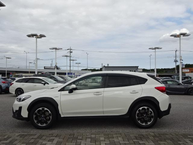 XV