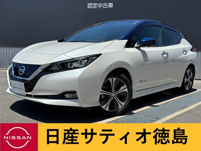 リーフG