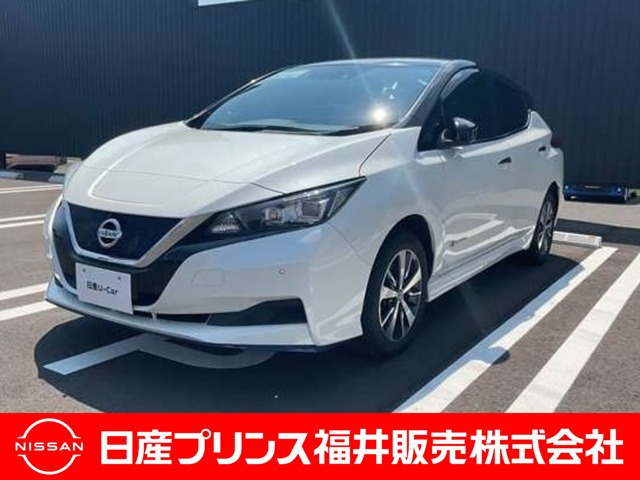 リーフe+ X