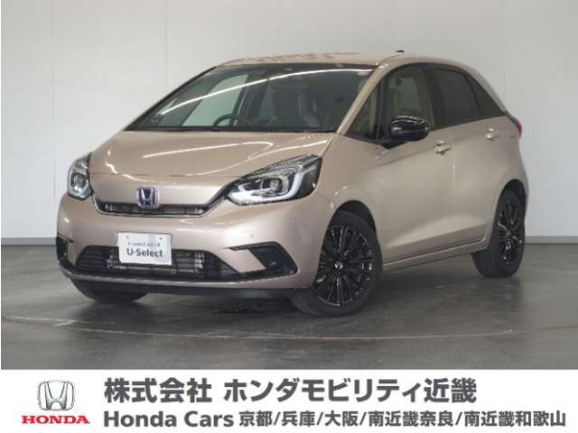 フィット