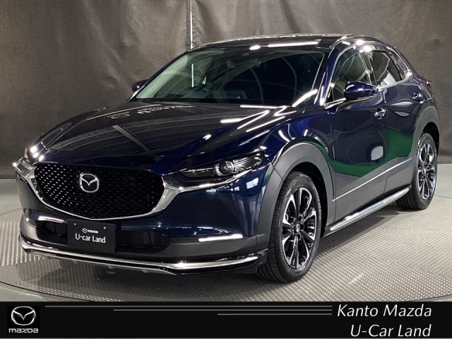 CX-302.0 20S プロアクティブ