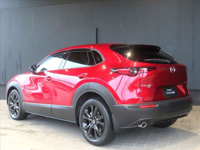 CX-30