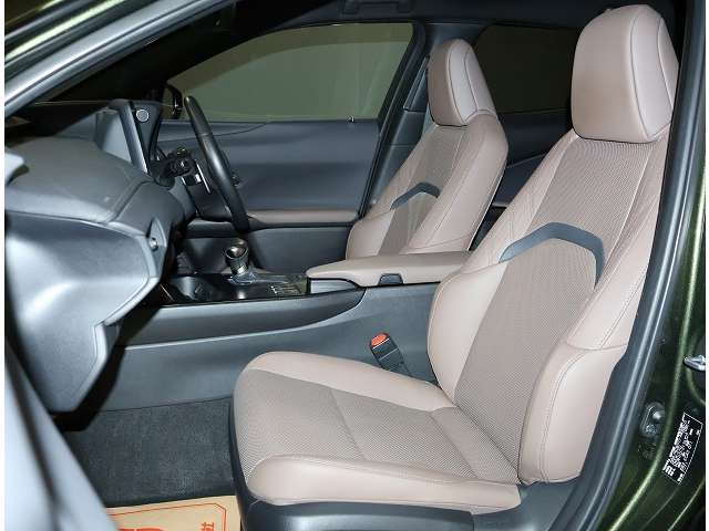 UX250h グレイスフル エクスプローラー